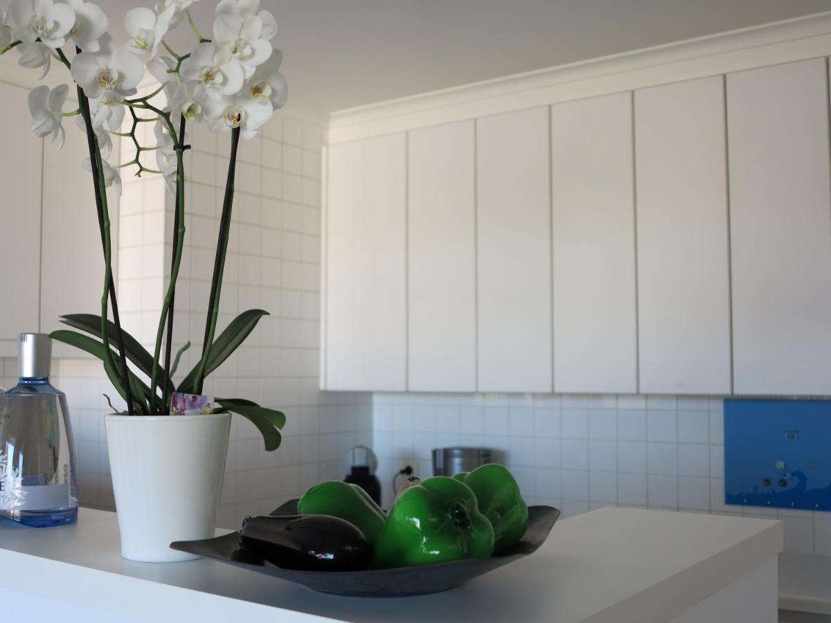 Apartmán Penthouse Sparta Koksijde Exteriér fotografie